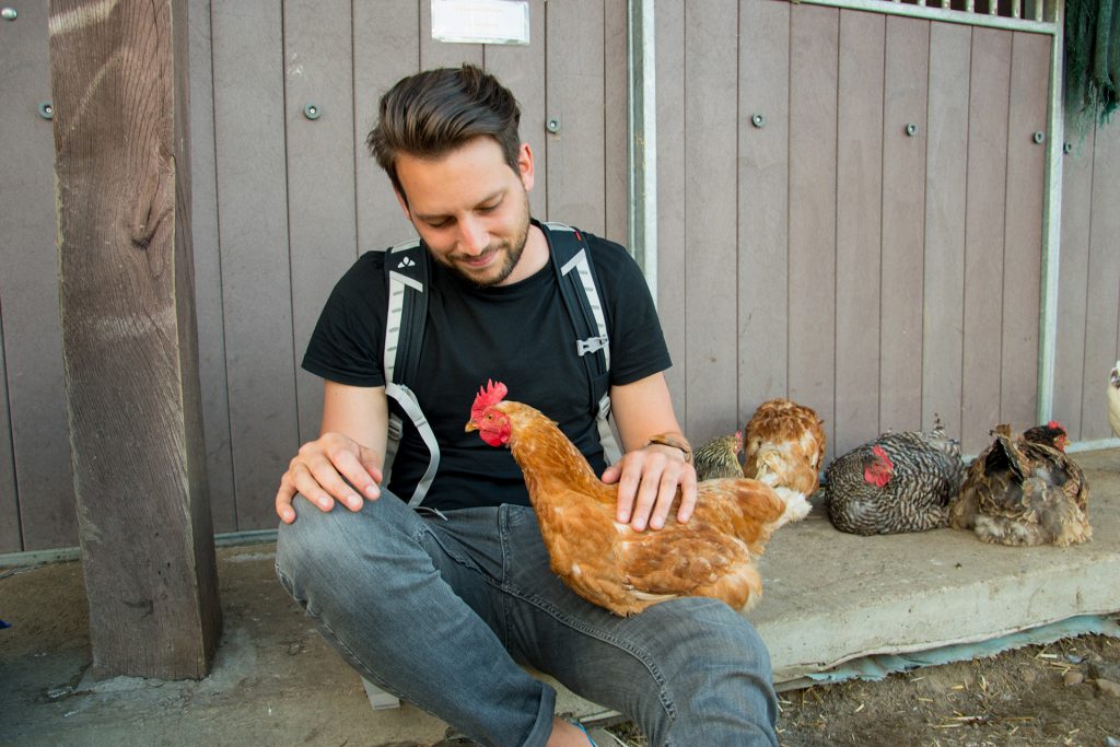 voordelen van vegan zijn - deel 2