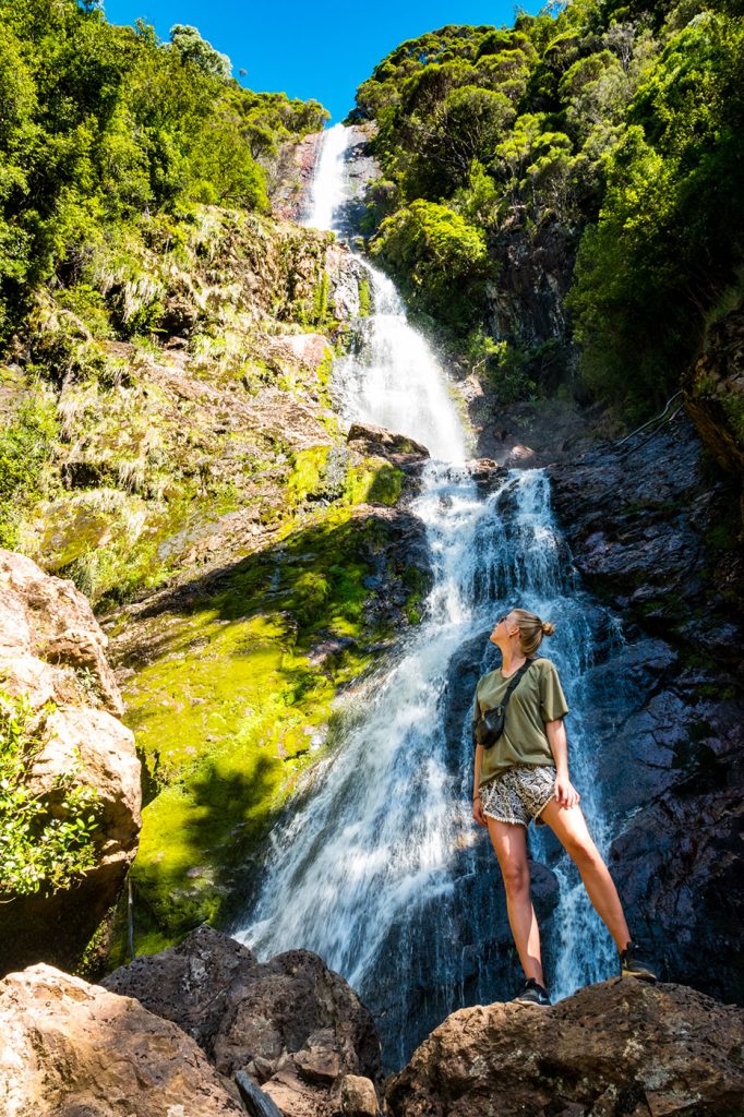 Water Waterval Tasmanië