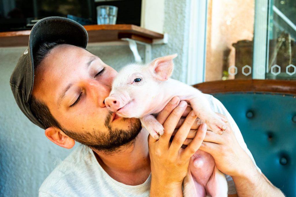 Vegan voor de dieren