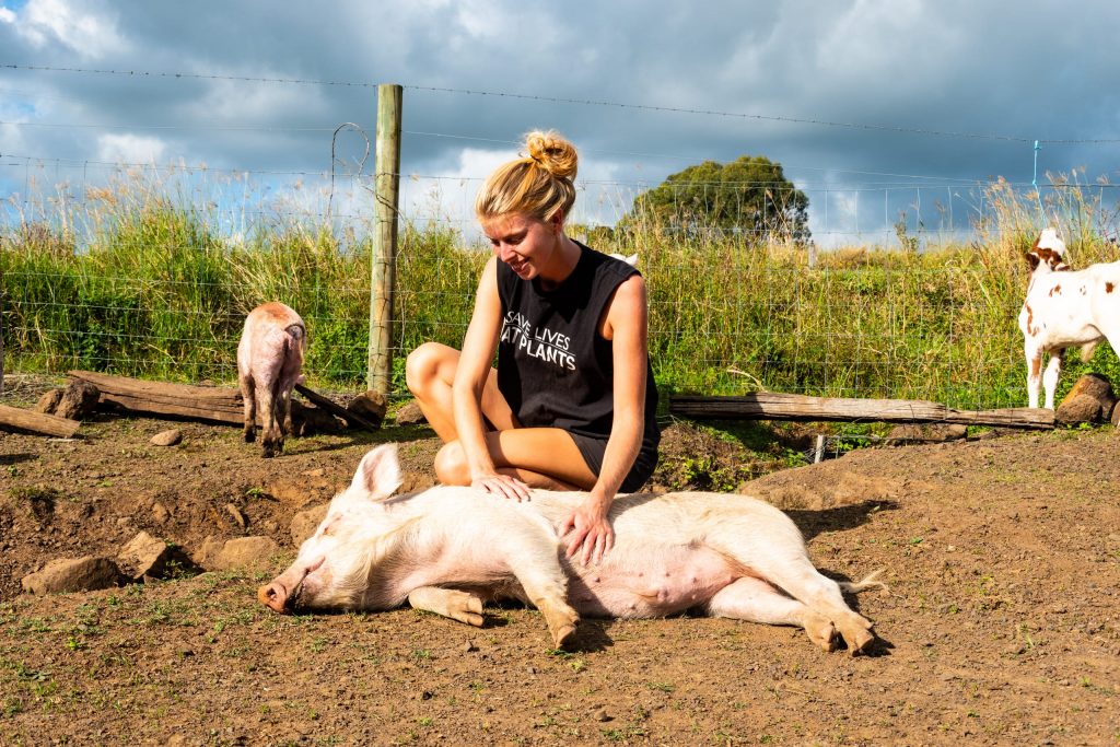 Vegetarier versus vegan