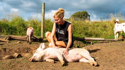 Vegetarier versus vegan