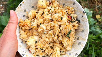 Vegan nasi goreng